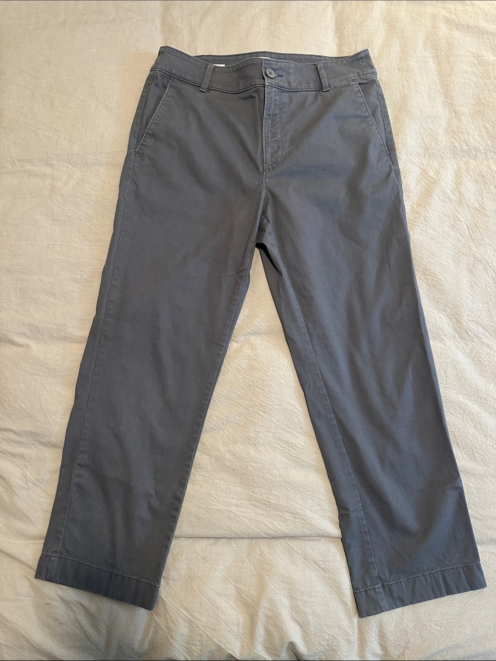 LOFT Men's Slate Gray Straight Chino Pants Ankle crop